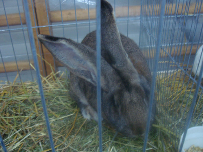DSC01726