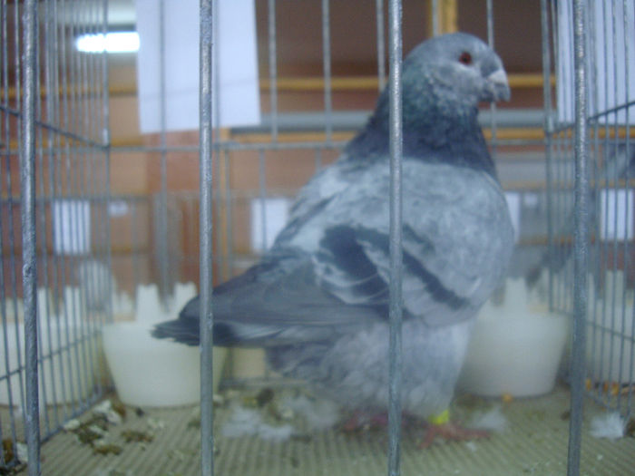 DSC01842
