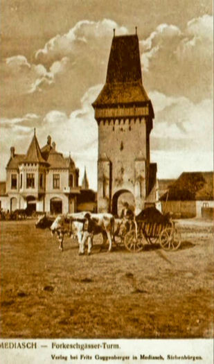 PDVD_199 - Mediasul meu de altadata