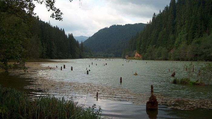 HPIM3451-1 - BICAZ-LACUL ROSU  21-08-2006