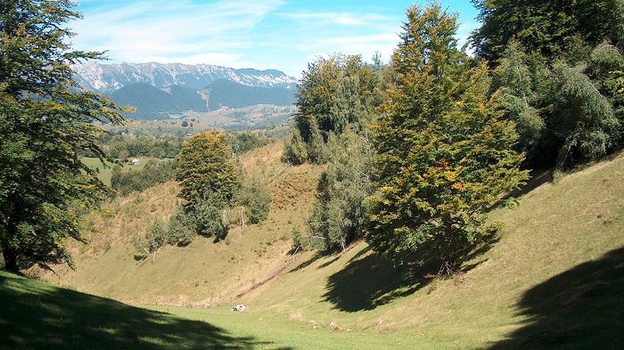 1. Faneata de la Sirnea WPH - BUCEGII - Piatra Craiului - imprejurimi