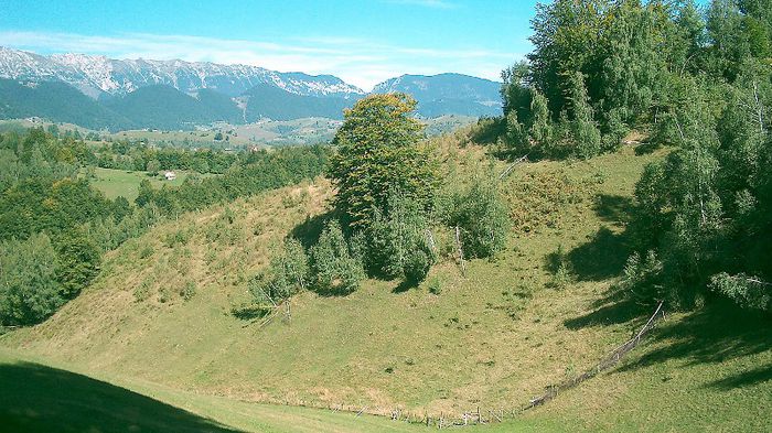 2. Faneata de la Sirnea WPH - BUCEGII - Piatra Craiului - imprejurimi