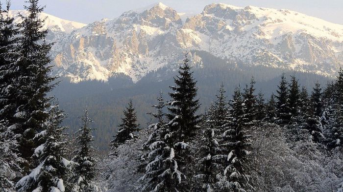 07dec31 017-1 - BUCEGII - Piatra Craiului - imprejurimi