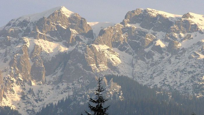 07dec31 018-1 - BUCEGII - Piatra Craiului - imprejurimi