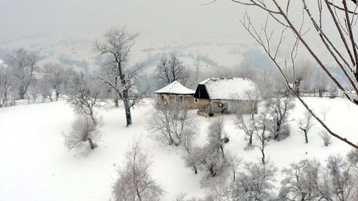 08ian02 045.ac - BUCEGII - Piatra Craiului - imprejurimi