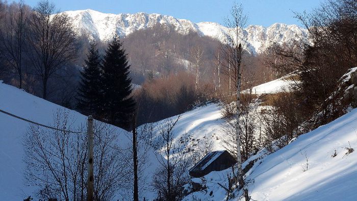 Satul Pestera 1 - BUCEGII - Piatra Craiului - imprejurimi