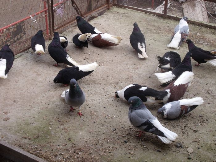 plictiseala dupa ce sau inperecheat