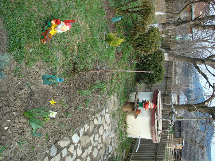 in 2009 - gradina de flori