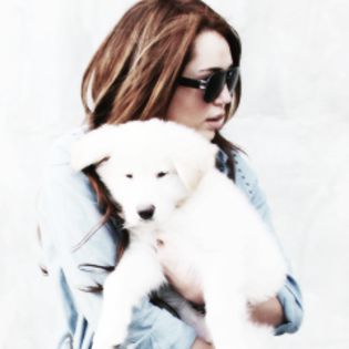 10 - 0x - Icons with Miley