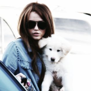11 - 0x - Icons with Miley