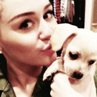 18 - 0x - Icons with Miley