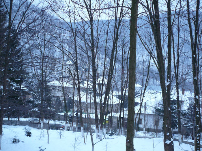 P1250363