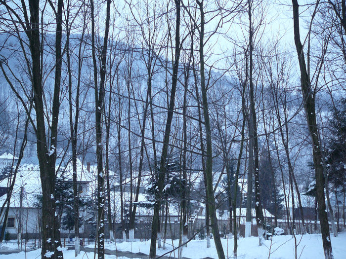 P1250364