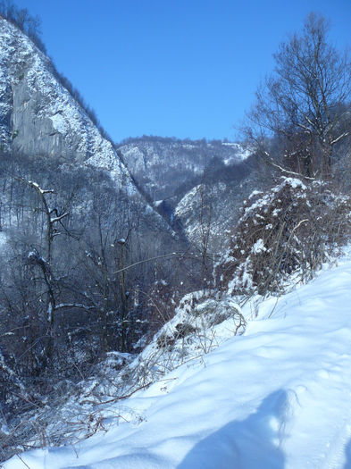 P1250369