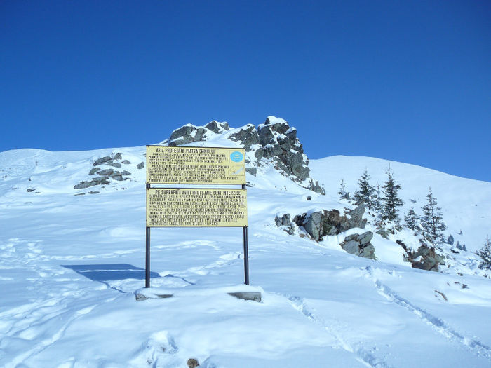 P1250598