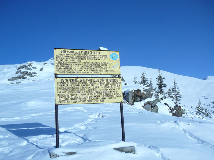 P1250599