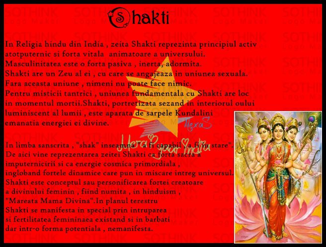 Shakti-Forta vitala a universului - Zeitati Hinduse-Povestea Lor