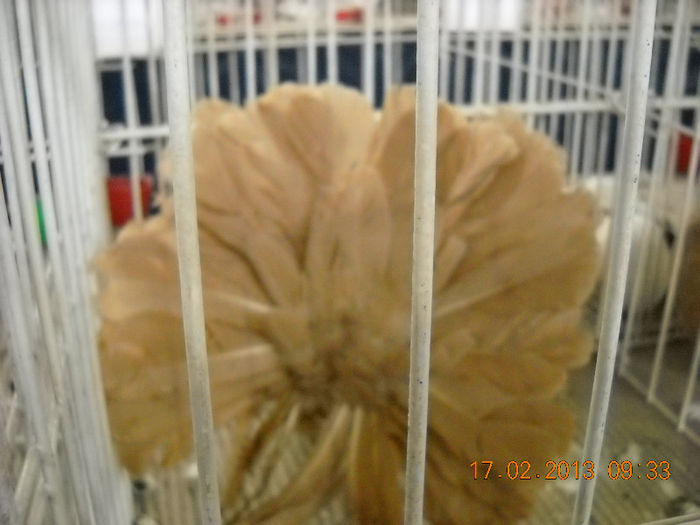 My pictures 042