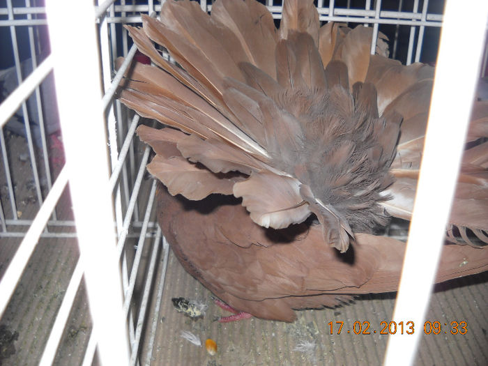 My pictures 043