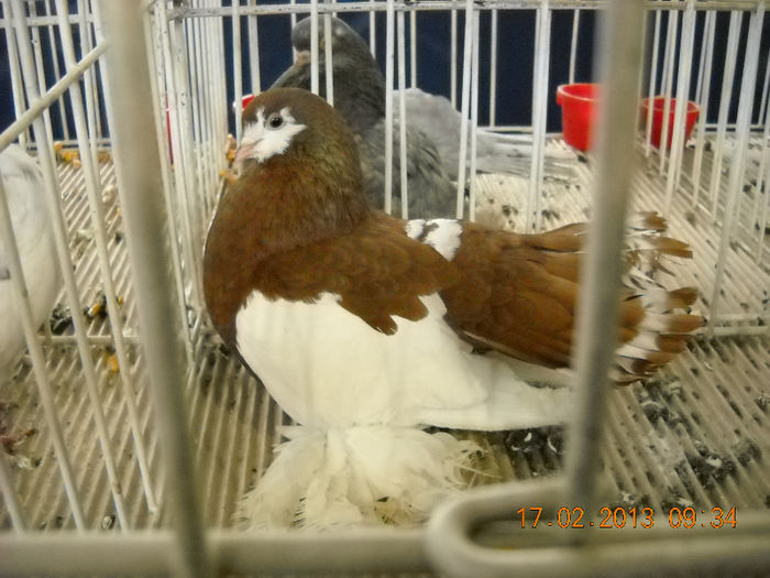 My pictures 047