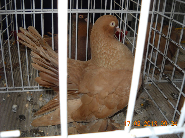 My pictures 050