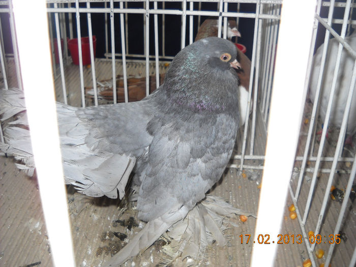 My pictures 053