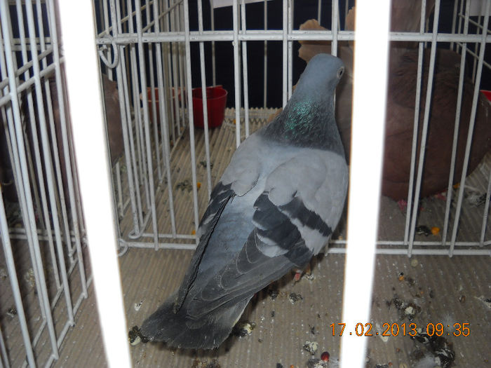 My pictures 056