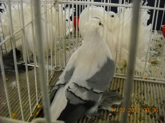 My pictures 061