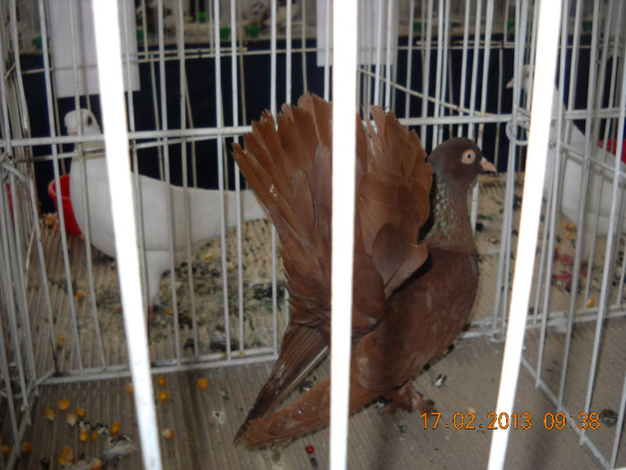 My pictures 071