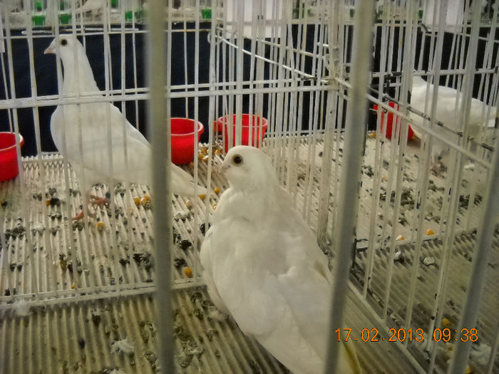 My pictures 072