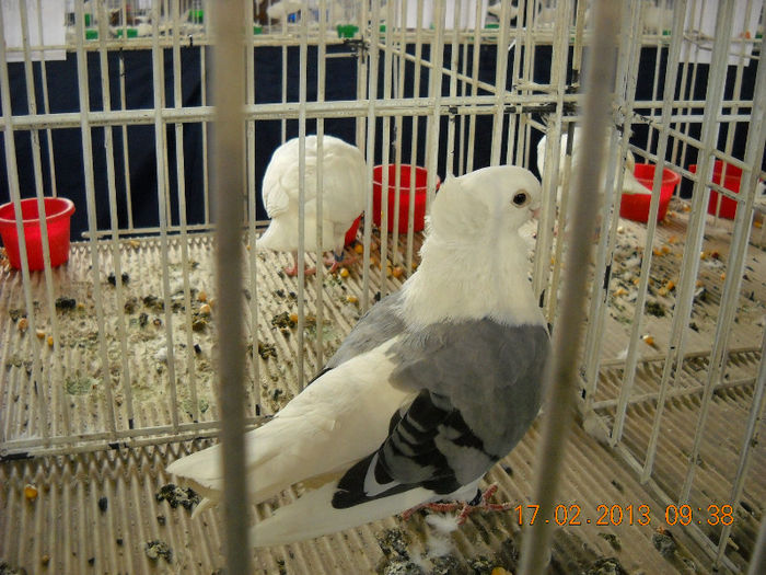 My pictures 074