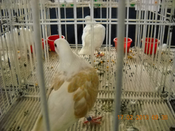 My pictures 075
