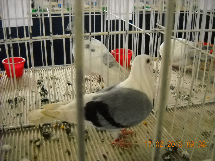 My pictures 076