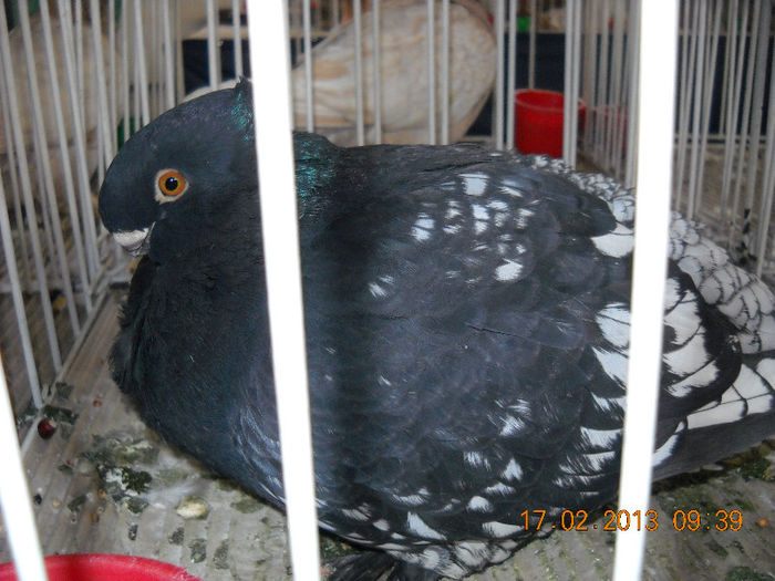 My pictures 078
