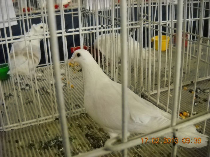 My pictures 083