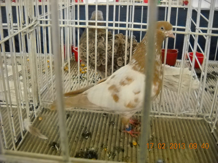 My pictures 085