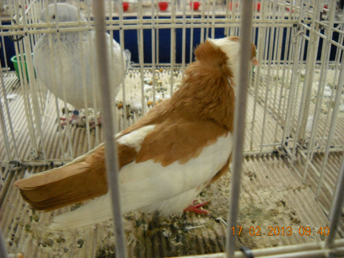 My pictures 091