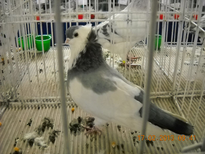 My pictures 094
