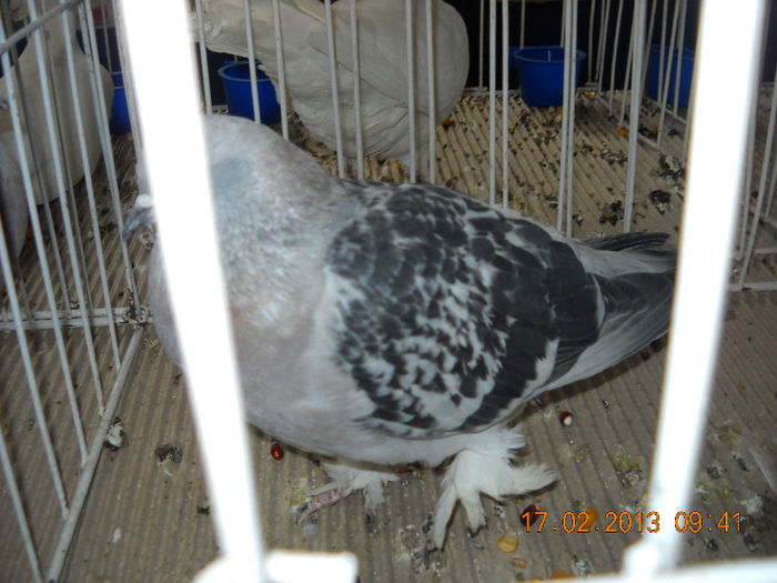 My pictures 097