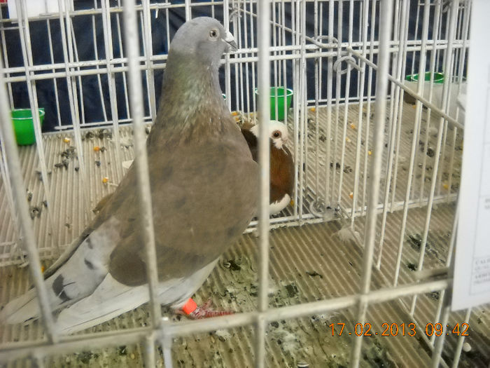 My pictures 104