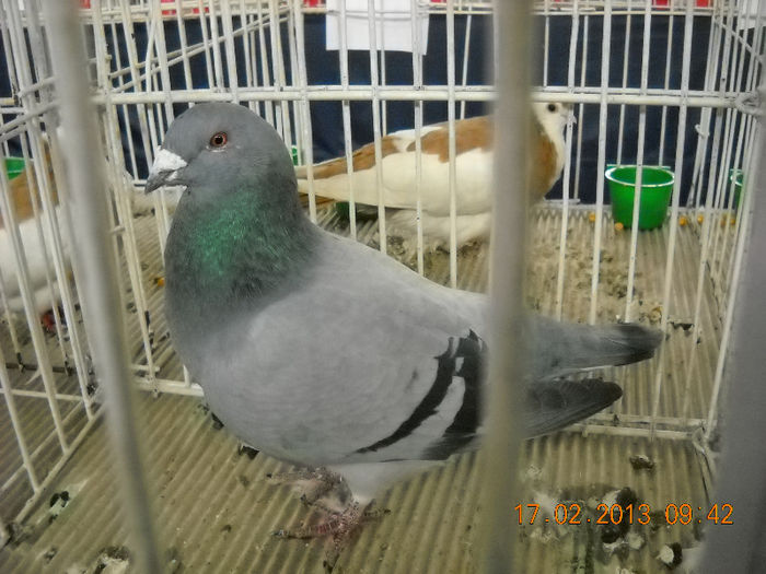 My pictures 106