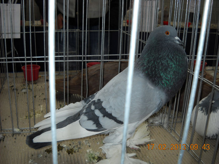 My pictures 111