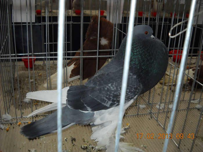 My pictures 112