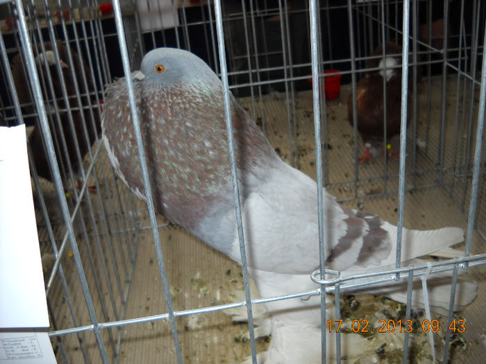 My pictures 113