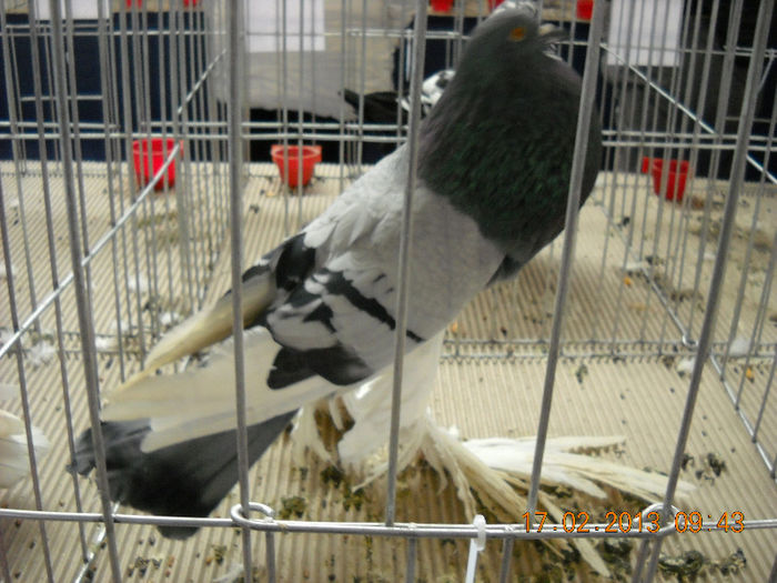 My pictures 114