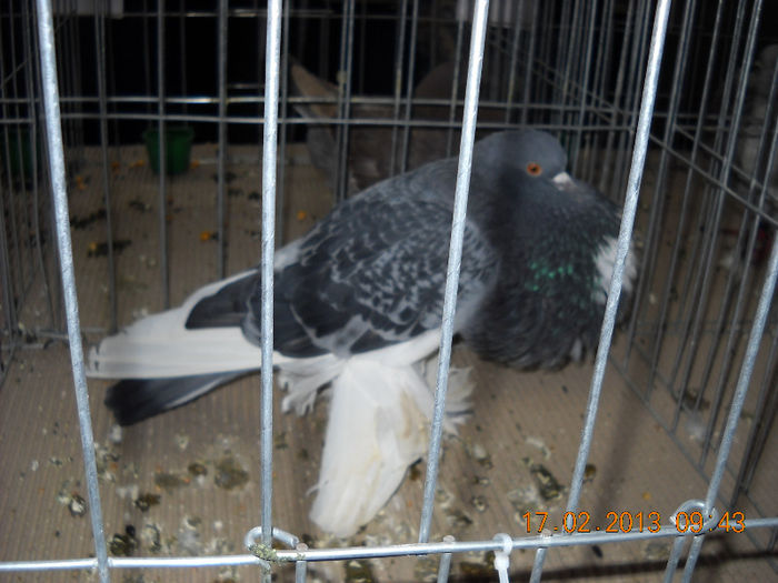 My pictures 115
