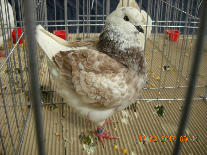 My pictures 117