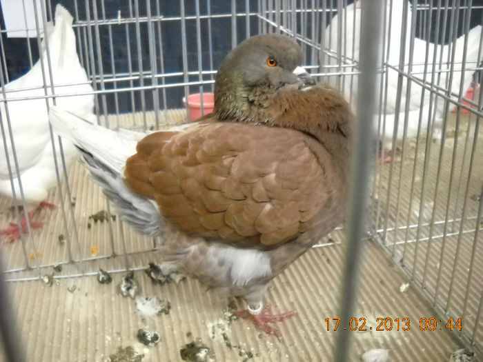 My pictures 119