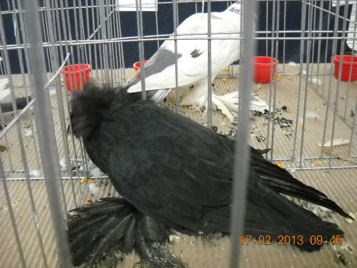 My pictures 126