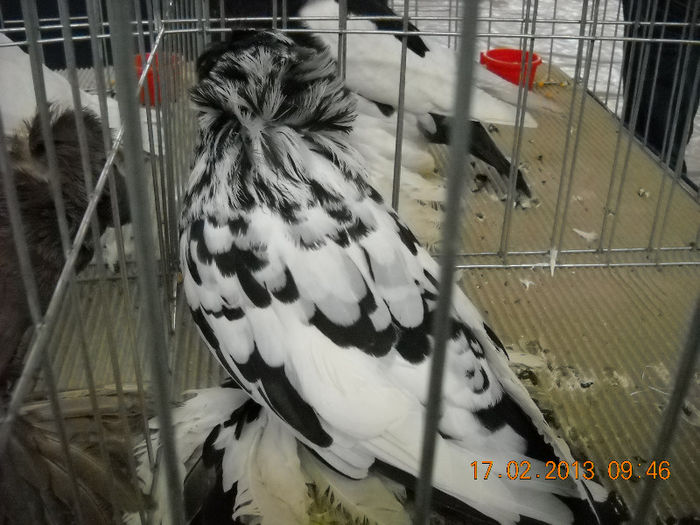My pictures 127